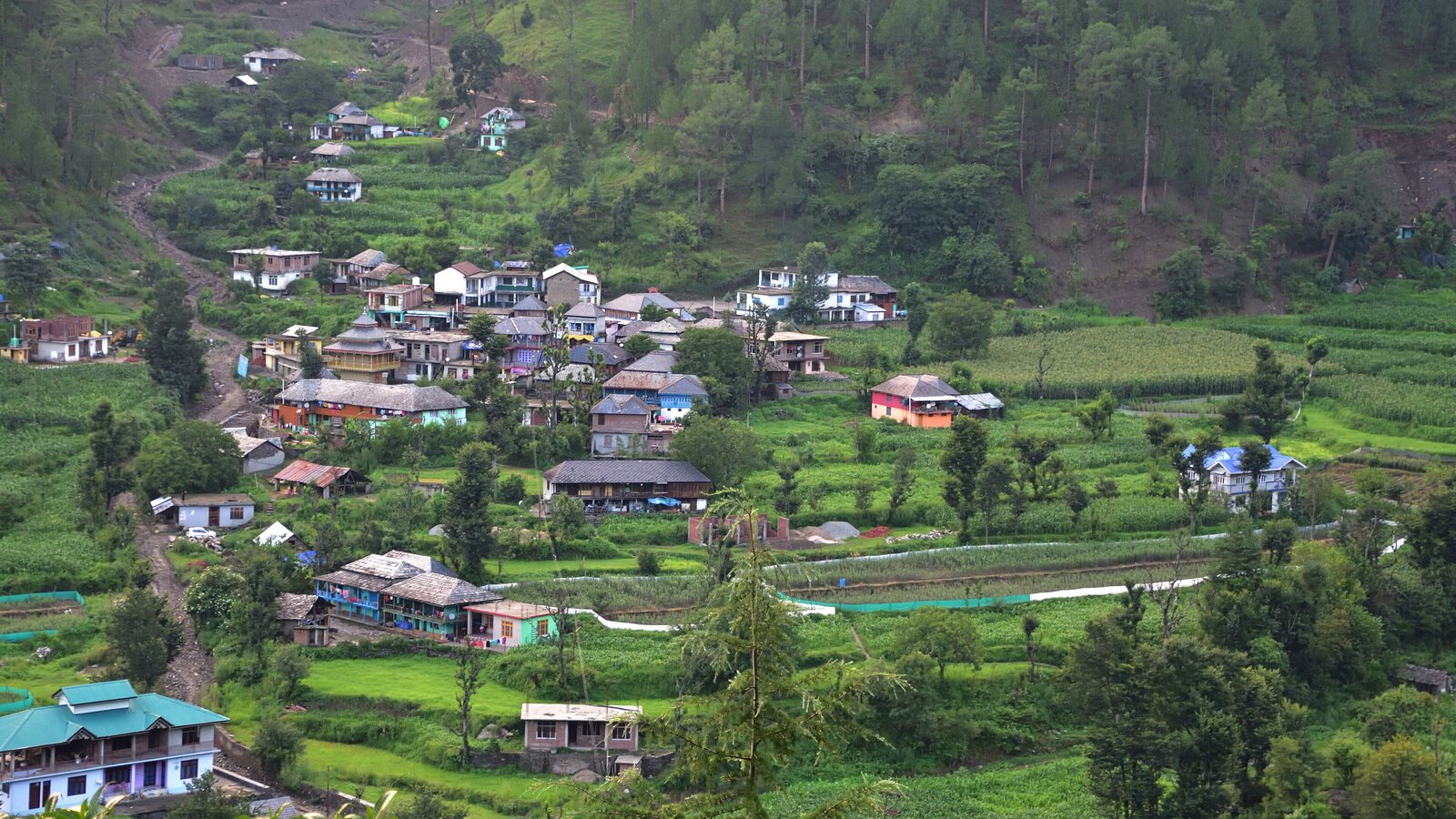 Terraced fields and village homes in Mandi district.