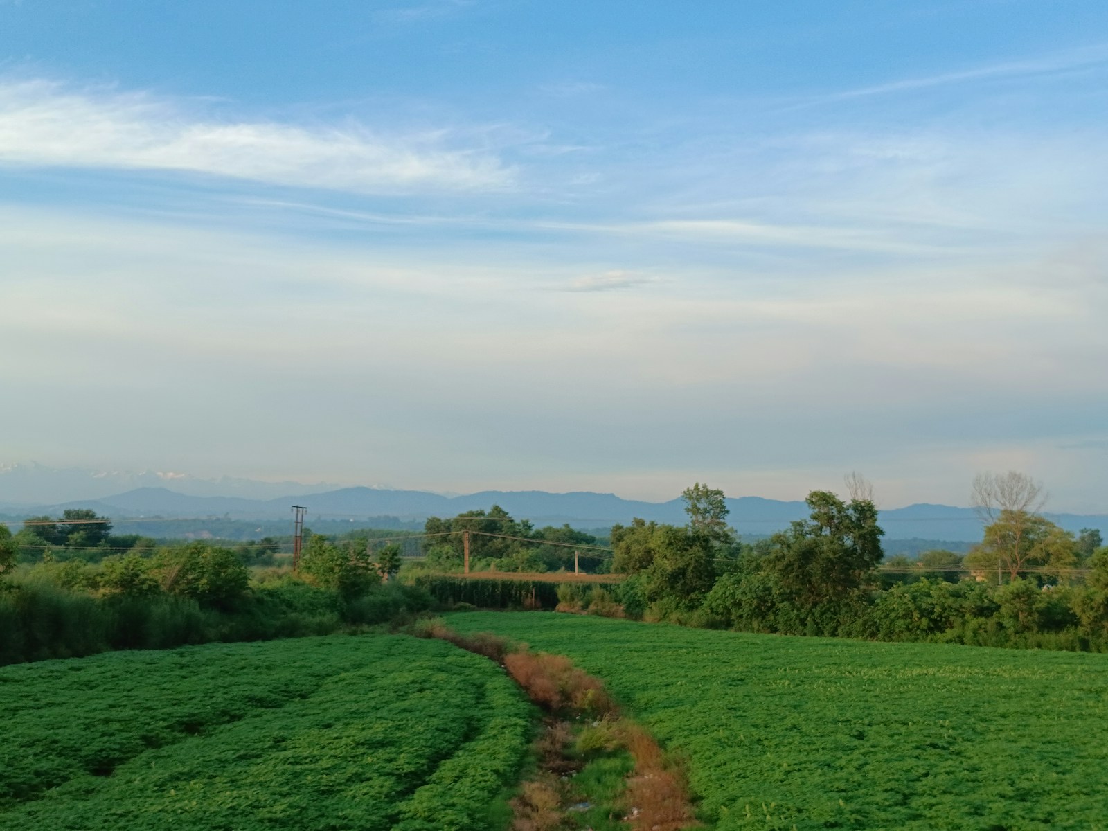 Green fields and low hills under a blue sky in Una, Himachal Pradesh.